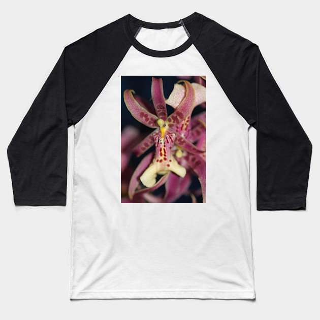 Splendid Orchid in Macro Baseball T-Shirt by Carole-Anne